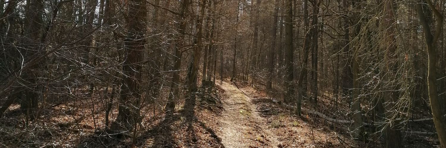 Zbyszek94946844's profile banner image