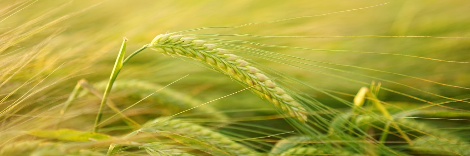 UAgronomit's profile banner image