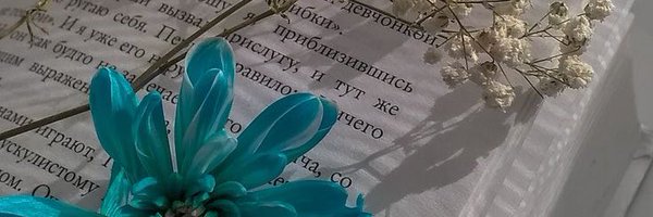 ~Воронежская графиня~ Profile Banner