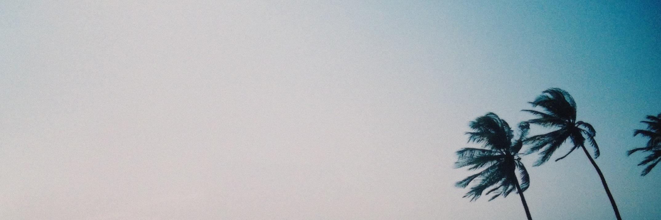 hannahmoneill's profile banner image