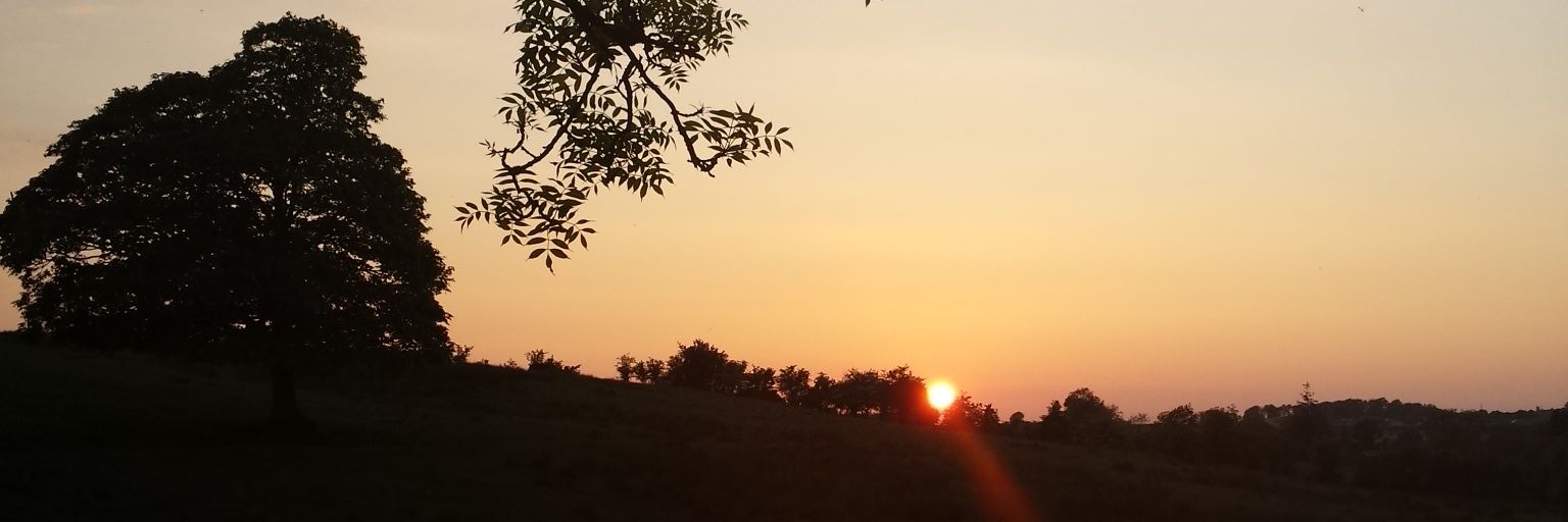 iamdanismith's profile banner image