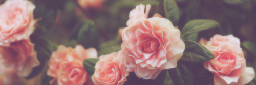 dfranqq's profile banner image