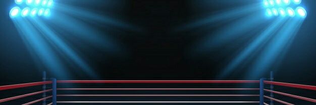 Fernández Domínguez banner