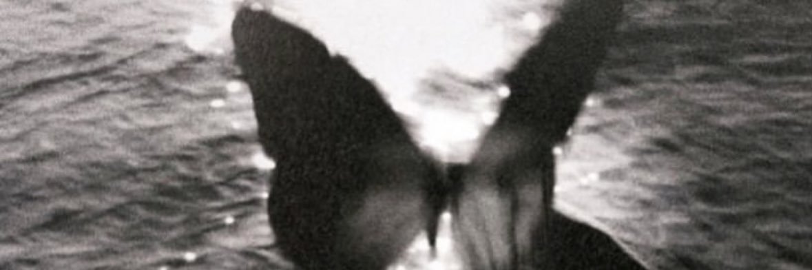 i6fx_'s profile banner image