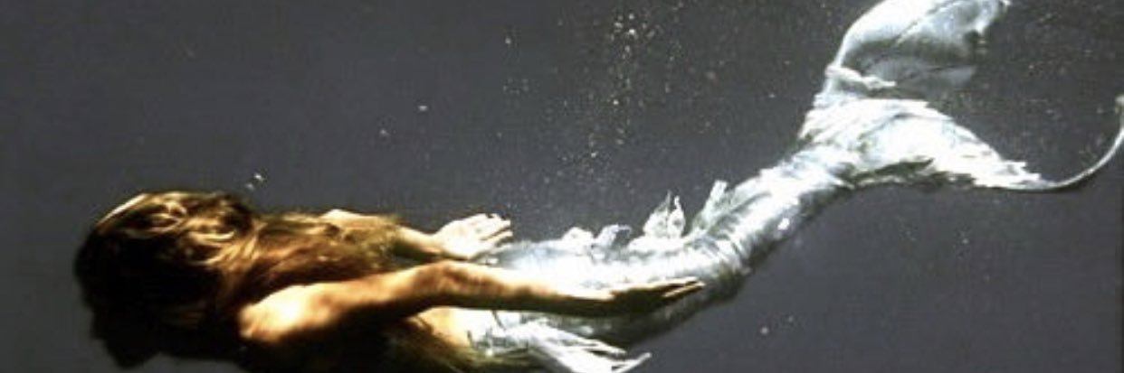 dove banner