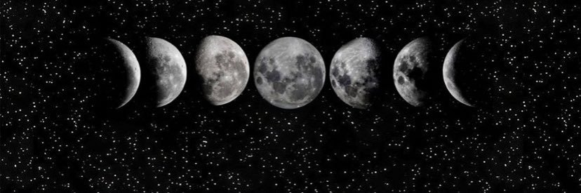 carool_leao's profile banner image