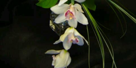 gonzlez_stefany's profile banner image