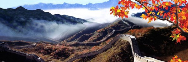 AmbassadorLiu Profile Banner