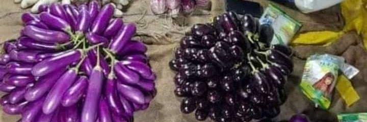 nadbrahm's profile banner image