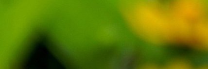 magossie's profile banner image