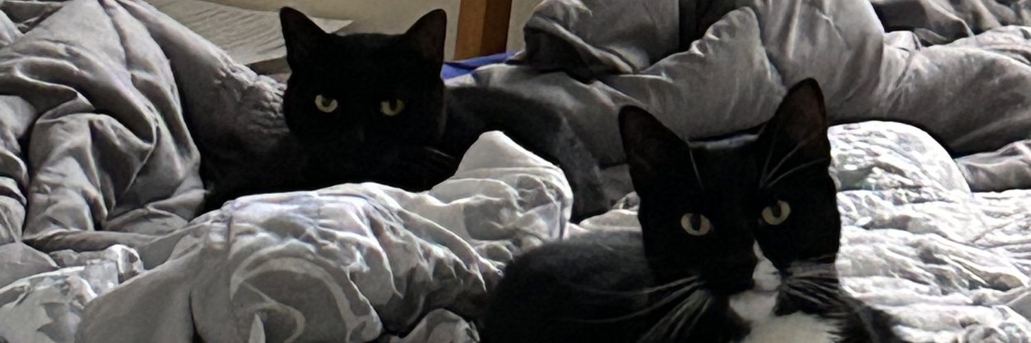 stacymathew_'s profile banner image