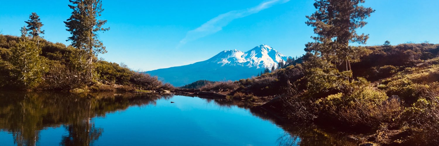 PSchurmann's profile banner image