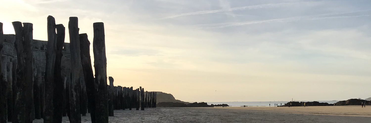 Morgane Le Danvic banner