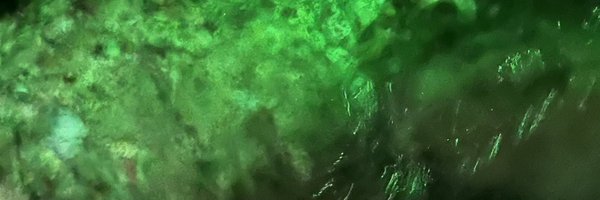 _ntank Profile Banner