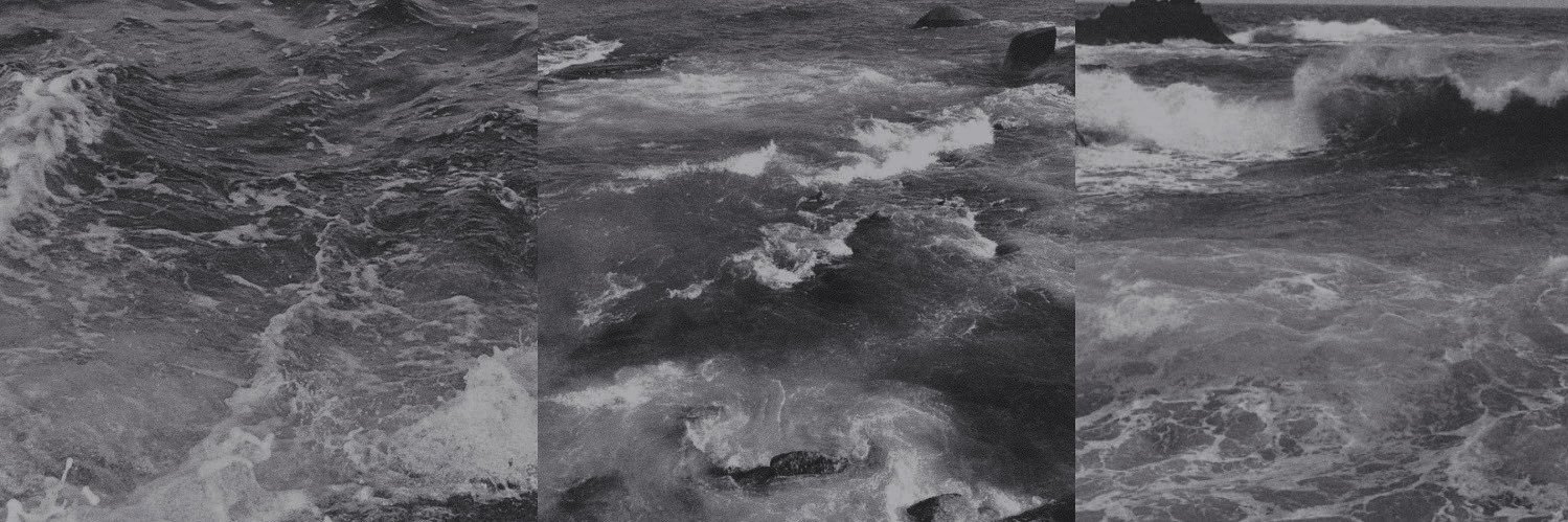 thresherlike's profile banner image