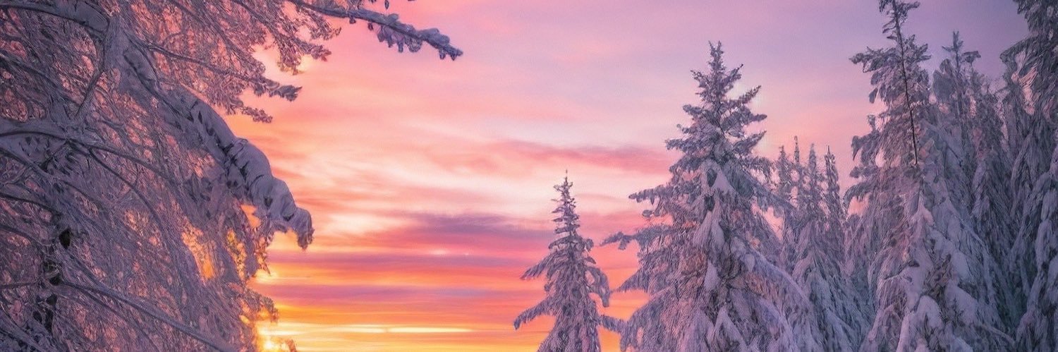 World🍥 banner