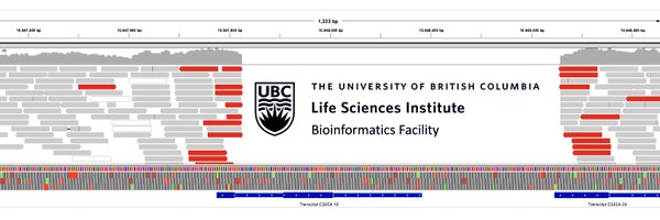 LSIbioinfo Profile Banner