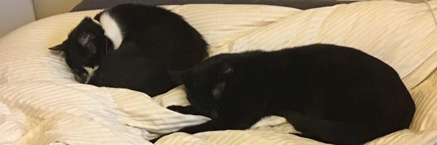 MikeJStapleford's profile banner image