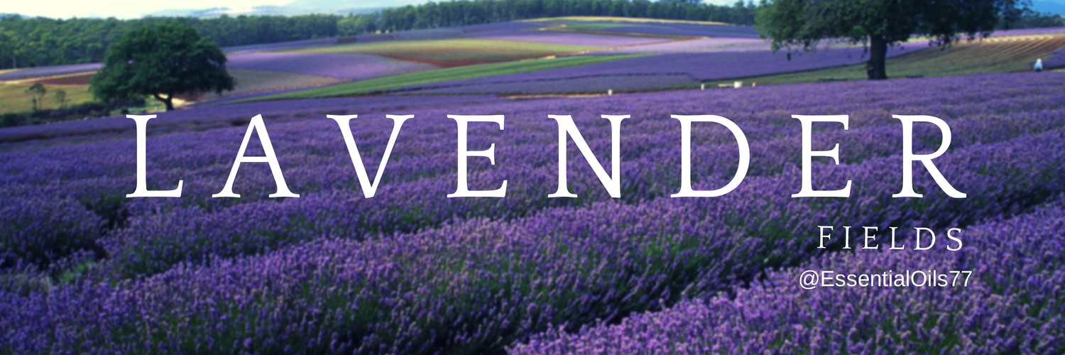 EssentialOils77's profile banner image