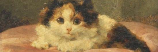 Dookie Disgusting banner