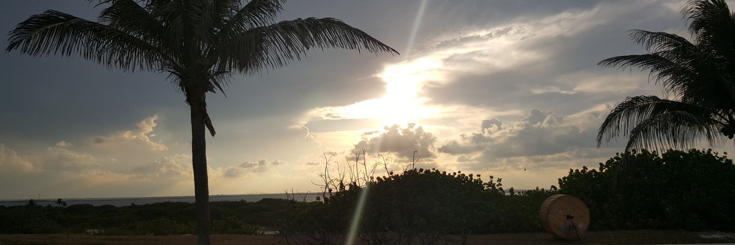 pdavidmahay's profile banner image