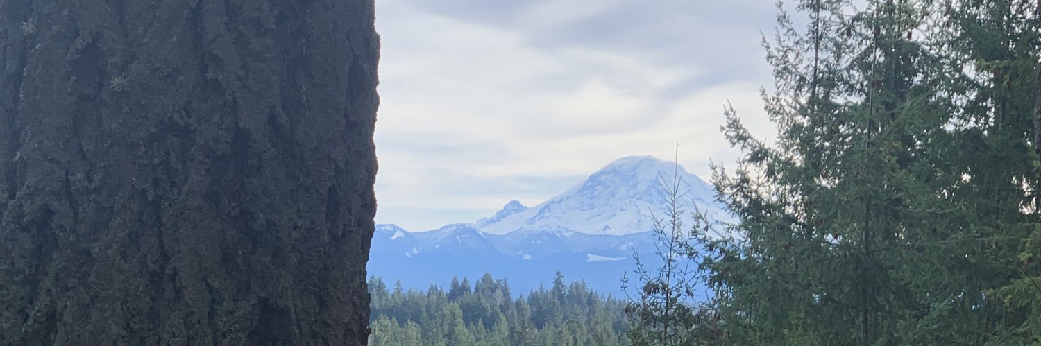 tsneden84's profile banner image