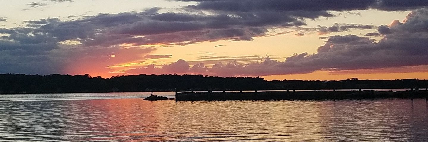 madelynquotes's profile banner image