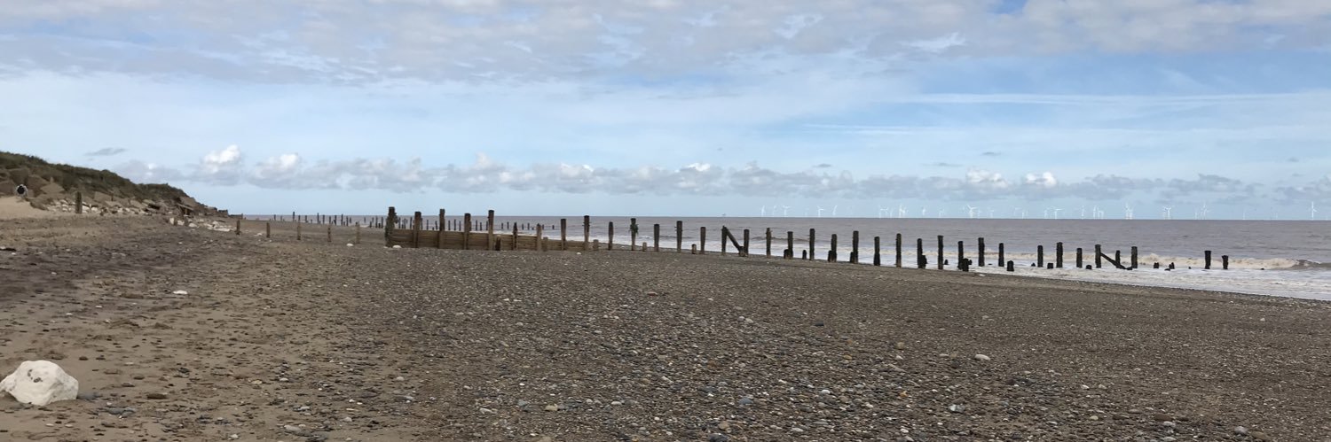 FrenchieDowling's profile banner image