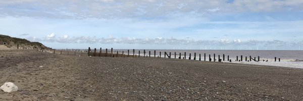 FrenchieDowling Profile Banner