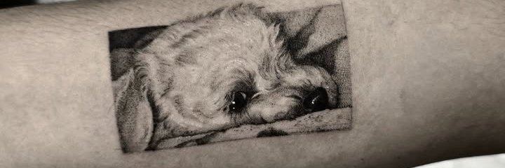 BalzerDelfi's profile banner image