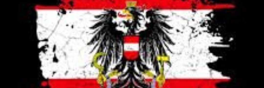 David Hollerer 🇦🇹 banner