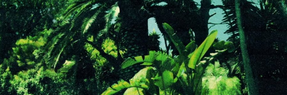 Nabil Ben 🇩🇿🇵🇸🇨🇩 banner