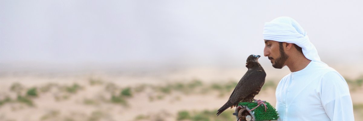 Shb7dxb's profile banner image