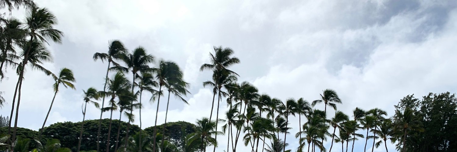 MeganWiscombe's profile banner image