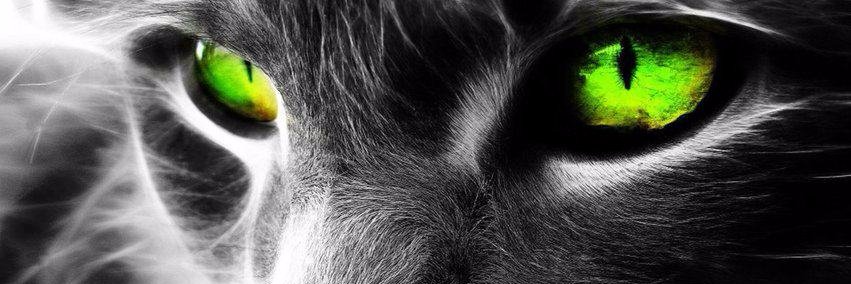 Boop9Betty's profile banner image