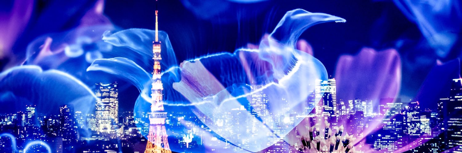 roro1_41's profile banner image