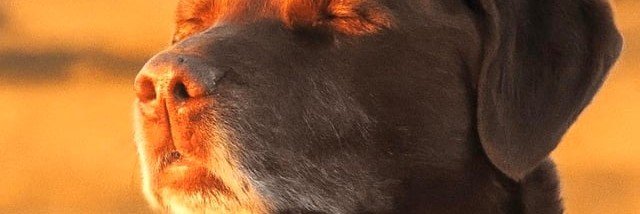 MJordanJhon's profile banner image