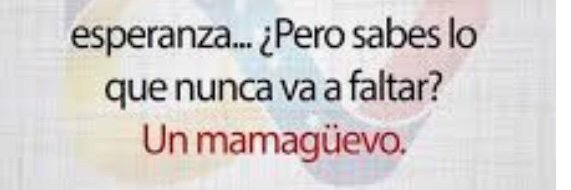 Pepa banner