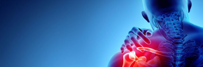 ARC Training Centre for Joint Biomechanics banner