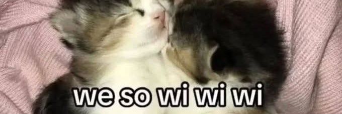 Miri pixelbot banner