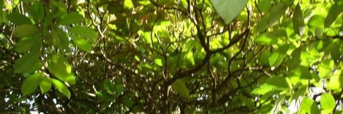 bipolarbook's profile banner image