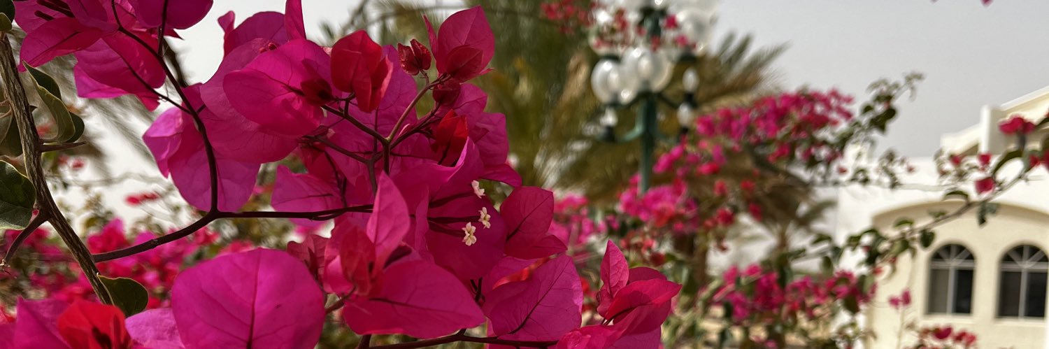 thePhilsopher's profile banner image