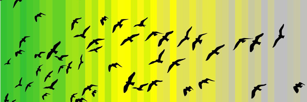 Georges Flooney banner
