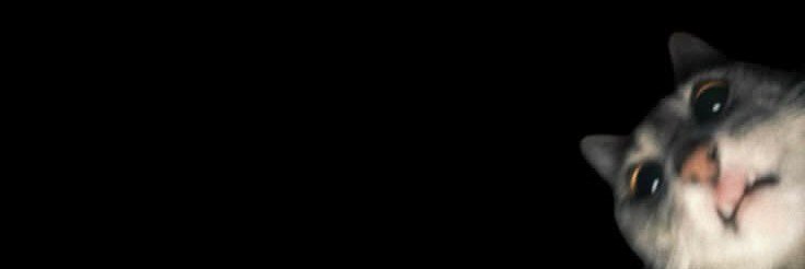 cuzyouraa's profile banner image