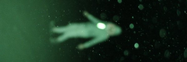 upsetfishh Profile Banner