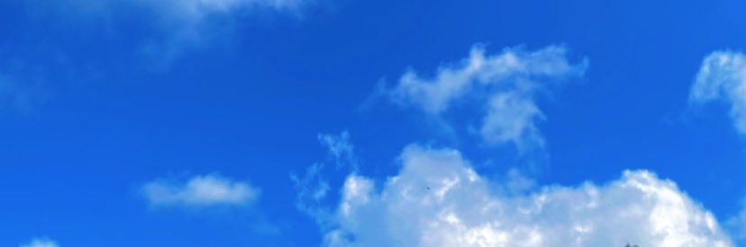 StayEuphoria.Shop 🇵🇸 | Slow banner