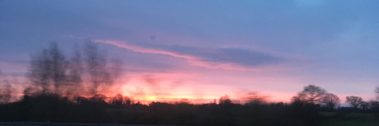 Richie Buttle banner