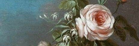 Leila30Maria's profile banner image