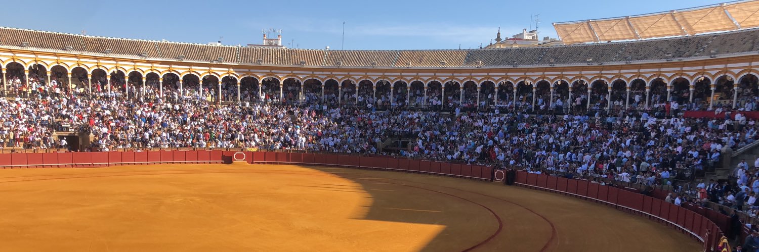 lindallanes's profile banner image