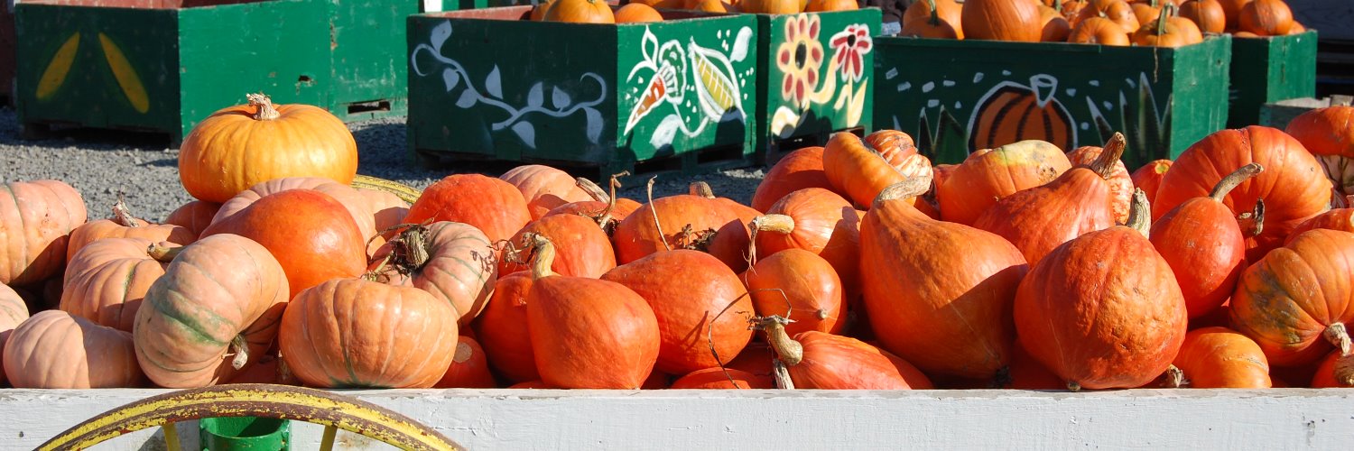 CarletonFarms's profile banner image